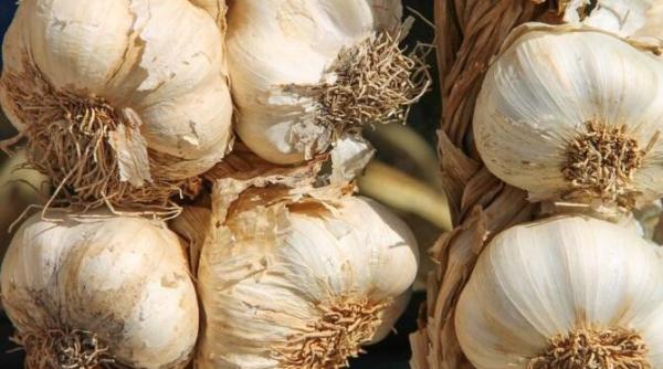 daca ai peste 30 de ani este timpul sa mananci mai des usturoi