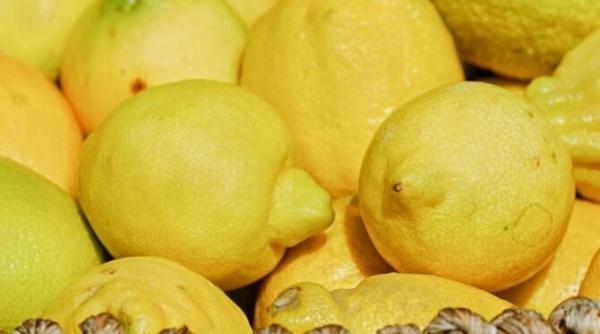 lamaile vor ramane gustoase si parfumate cateva luni doua secrete simple dezvaluite de bucatar