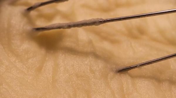 secretul francezilor un ingredient simplu va transforma un piure banal intr o mancare spectaculoasa