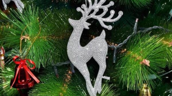 bradul de craciun va arata mai magnific si mai pufos cu acest truc iata ce trebuie sa faci