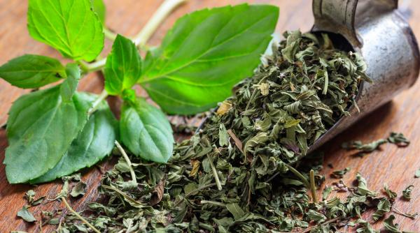 menta salvarea dupa mesele copioase de sarbatori