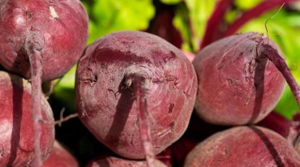 sfecla rosie un depozit de vitamine si minerale 7 beneficii uimitoare despre care ar trebui sa stiti