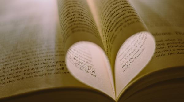 rolul poeziei irina lazar poetii par ridicoli in ochii celorlalti dar ajuta