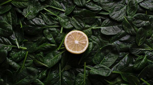 va fereati de spanacul congelat un nutritionist celebru spune ca e mai sanatos decat cel proaspat gatit cu sos de rosii si un pic de ceapa