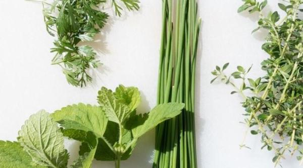 cel mai bun remediu dupa excesele alimentare de craciun se prepara rapid si este delicios