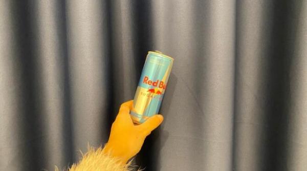 fara coloana vertebrala ce facea red bull gmbh in 2010 in romania