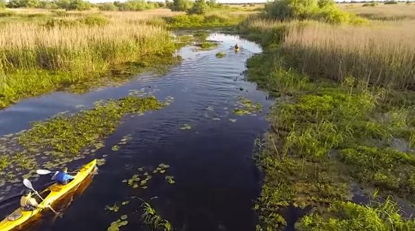 horia teodorescu presedintele cj tulcea despre eforturile pentru protejarea deltei dunarii trebuie lasate disputele si interesele meschine
