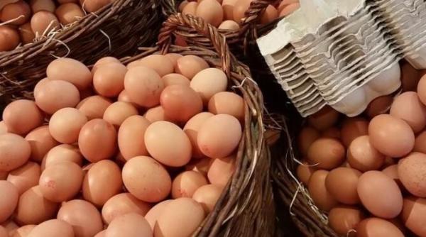 pune ouale intr un pahar cu apa inainte de a le consuma este esential pentru sanatate