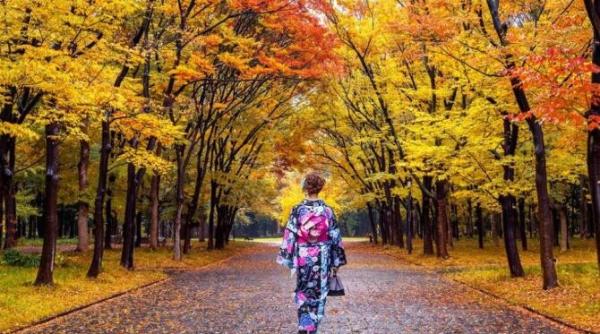 secretele longevitatii japonezilor 5 conditii pentru o viata fericita