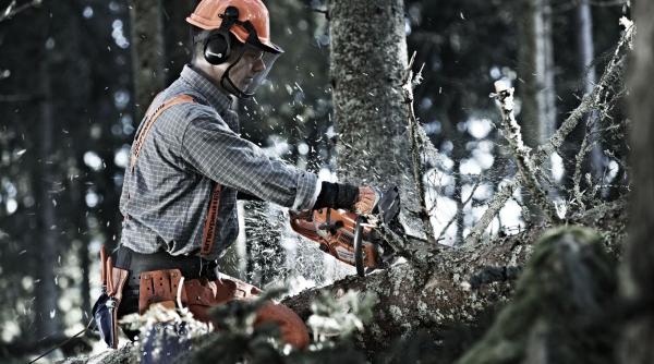 drujba unul dintre cele mai ascultatoare echipamente atat timp cat este manevrata de maini cu adevarat pricepute