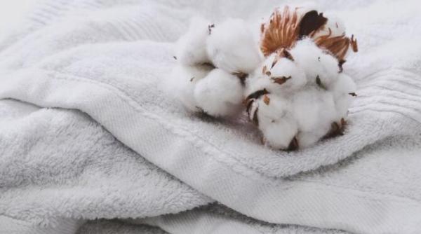 cat de des trebuie spalate prosoapele de baie ca sa nu devina rapid un teren propice pentru baterii si microbi