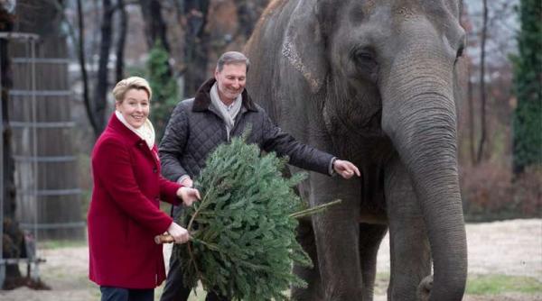 gradina zoologica din berlin s a redeschis dupa un caz de gripa aviara