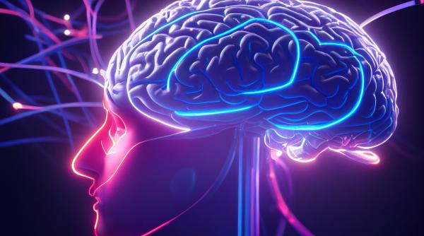 nu stiai asta despre al 6 lea simt ce este proprioceptia