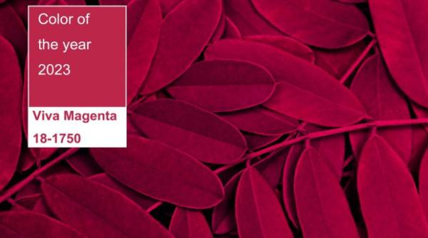 culoarea anului 2023 este o nuanta neconventionala pentru o perioada neconventionala