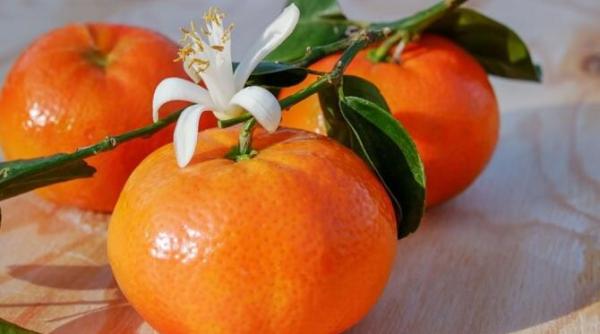 de ce sunt utile mandarinele si de ce este periculos sa le consumi in cantitati mari