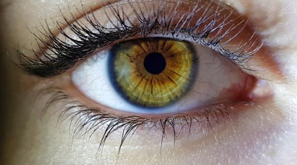 ce sunt dungulitele albe care plutesc in fata ochilor pe retina