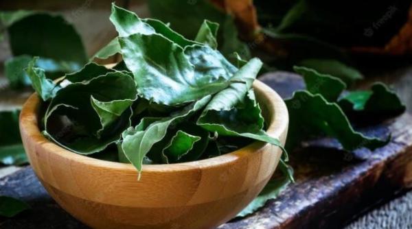 gospodinele inventive pun iarna frunze de dafin in cuptor iata de ce fac asta