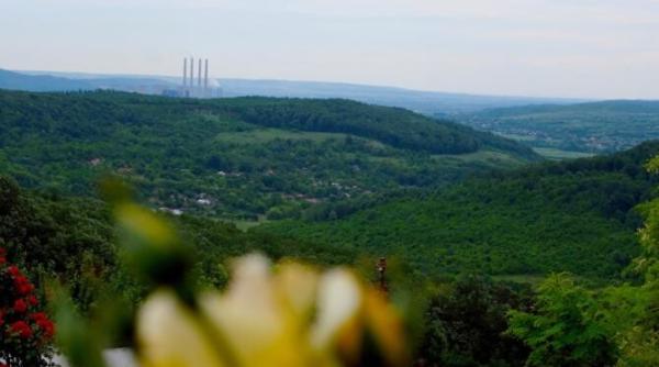 rovinari 3 si turceni 7 nu se mai inchid guvernul a decis o amanare