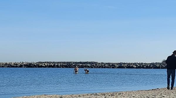 1 ianuarie 2023 pe litoral cativa oameni mai curajosi au facut baie in marea neagra galerie foto