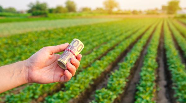 e oficial fermierii vor primi 12 euro hectar in 2023 cine beneficiaza de subventie