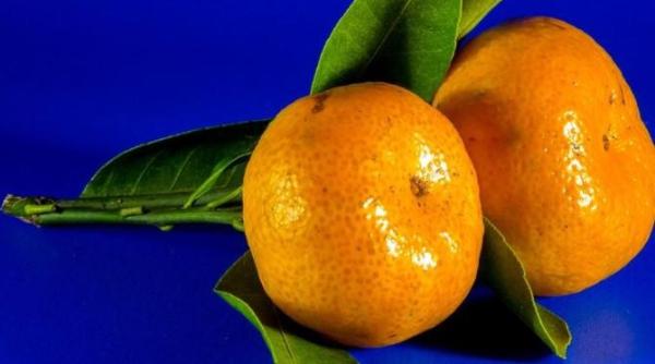 mandarinele benefice pentru piele si par iata cum le poti folosi