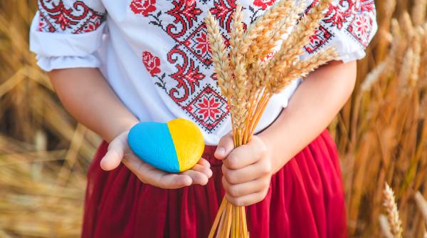 vecin linistit casa linistita chirieac daca ucraina intra in ue e un castig mai ales pentru romania nu mi e teama ca va deveni o superputere