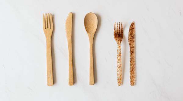 anglia interzice tacamurile si farfuriile de unica folosinta din plastic