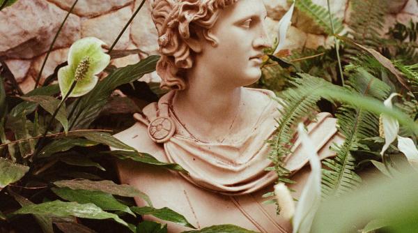 zeii din spatele fiecarei zodii tu ce zeitate esti