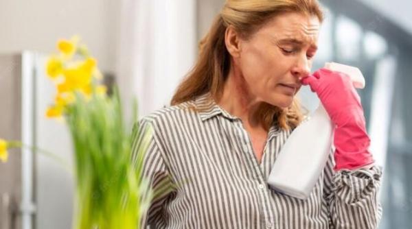 parfumeaza casa si elimina toate mirosurile neplacute 3 frunze ale acestei plante sunt suficiente