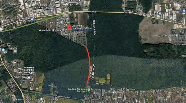 revolta unui antreprenor roman cazul greenfield exemplu clar de stat ostil si campanie de manipulare lenea e sexy daca o vinzi ca grija pentru mediu