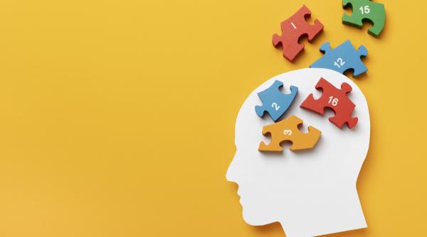 14 ianuarie motiv de sarbatoare pentru fanii rebusurilor si ghicitorilor e ziua mondiala a logicii