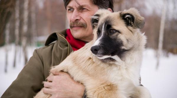 de ce sunt cainii atat de loiali