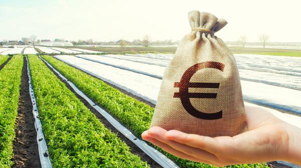 afir 1 64 de miliarde de euro alocate pentru mediul rural