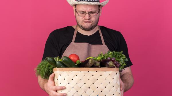 legumicultorii in impas cum ar putea daea sa i ajute sa si dubleze productia