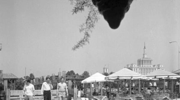 rezistenta prin ras din comunism o jumatate de europa este ocupata iar cealalta preocupata de uniunea sovietica