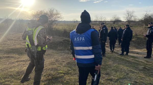 angajatii care captureaza caini in bucuresti instruiti sa intervina doar la sesizari audio