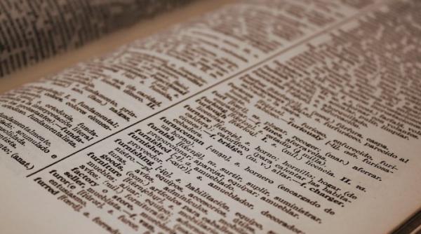 fafo este cuvantul anului 2022 potrivit american dialect society contine o injuratura