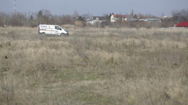 duhovnicul anei femeia ucisa de caini in bucuresti de ce s a intors in locul unde mai fusese muscata de animale