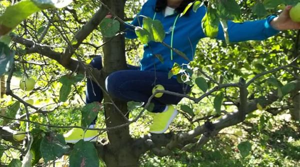 cu ce se ocupa liliana fedorca director al directiei de cultura in loc de teatru