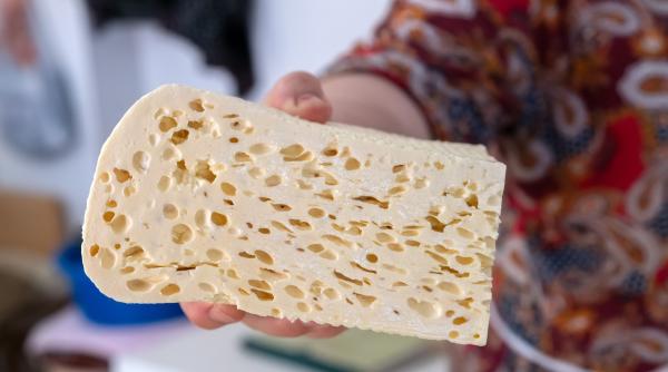 job de vis mananci branza in pat si esti platit cu 1 000