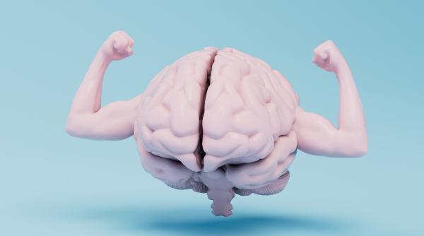 si creierul are muschi exercitiile fizice care stimuleaza activitatea cerebrala