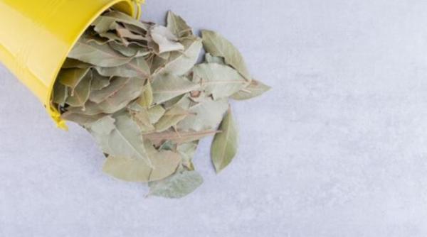 pune frunze de dafin sub perna si vezi ce se intampla in timpul noptii