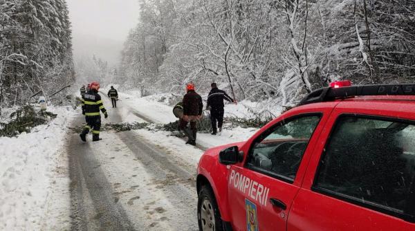 fenomene meteo extreme in romania vijelia a rupt copacii pompierii intervin