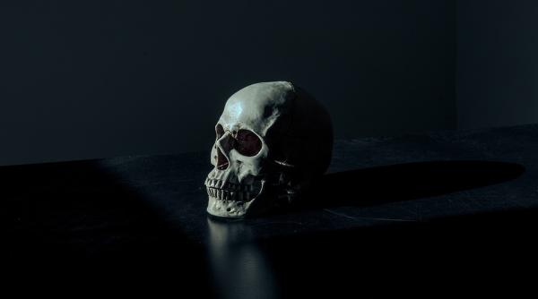 craniul unui barbat din new york disparut in 1976 descoperit in alaska cine era si ce s a intamplat cu el