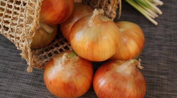 hraneste plantele de interior cu un cocktail de ceapa vor fi sanatoase si vor inflori spectaculos