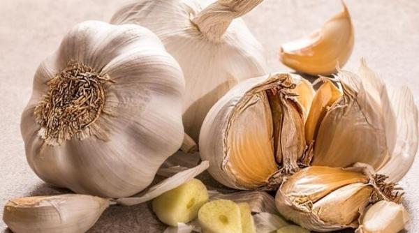 protejeaza impotriva racelilor si intareste sistemul imunitar 15 beneficii ale usturoiului