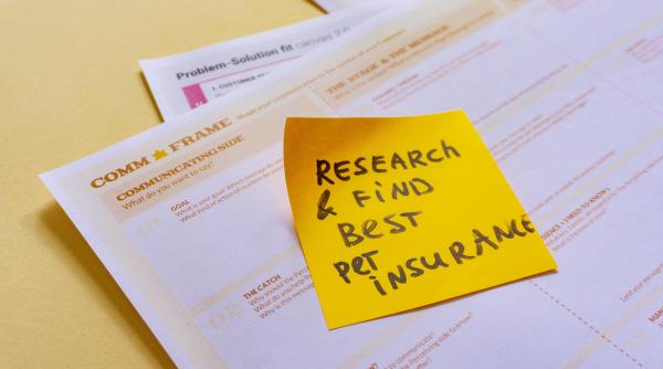 rolul educatiei financiare in dezvoltarea sistemului de asigurari marian siminica isf exista o problema in cazul celor obligatorii