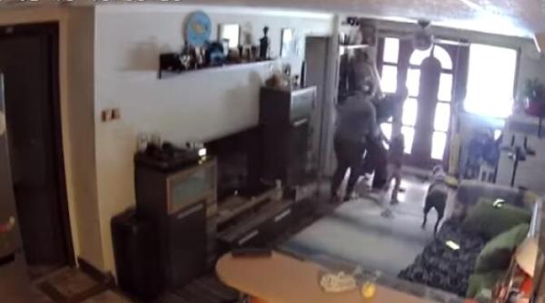 cutremur in romania panica la o cabana din hunedoara oamenii au iesit speriati din cladire video