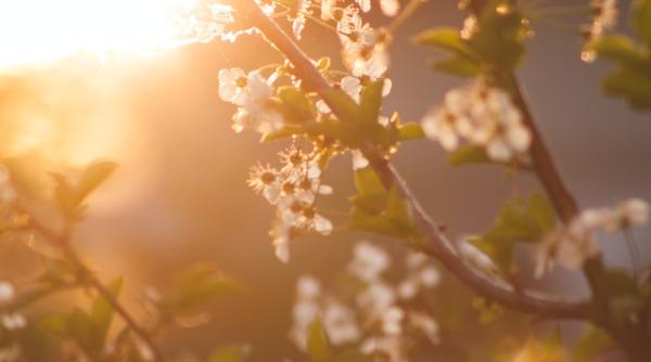 vremea se schimba urmeaza temperaturi de primavara