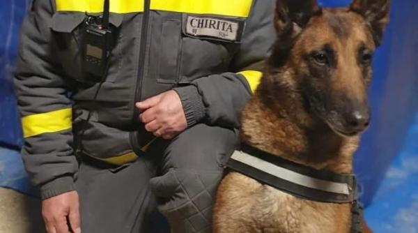 daniel si speedy salvatori romani in turcia cauta tati cauta un salvator turc a cazut in genunchi in fata lui speedy dupa o salvare gestul facut fata buna a lui daniel